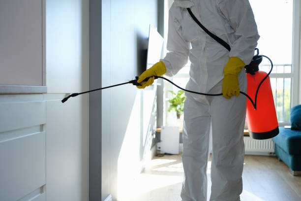Best Black Mold Remediation in Perryville, AR